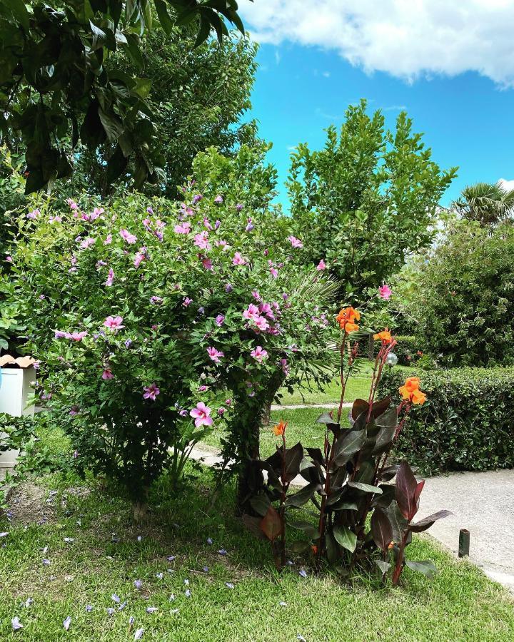 B&B Villa Dei Fiori Sant'Eufemia Lamezia Luaran gambar