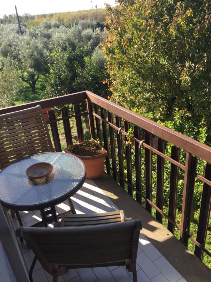 B&B Villa Dei Fiori Sant'Eufemia Lamezia Luaran gambar